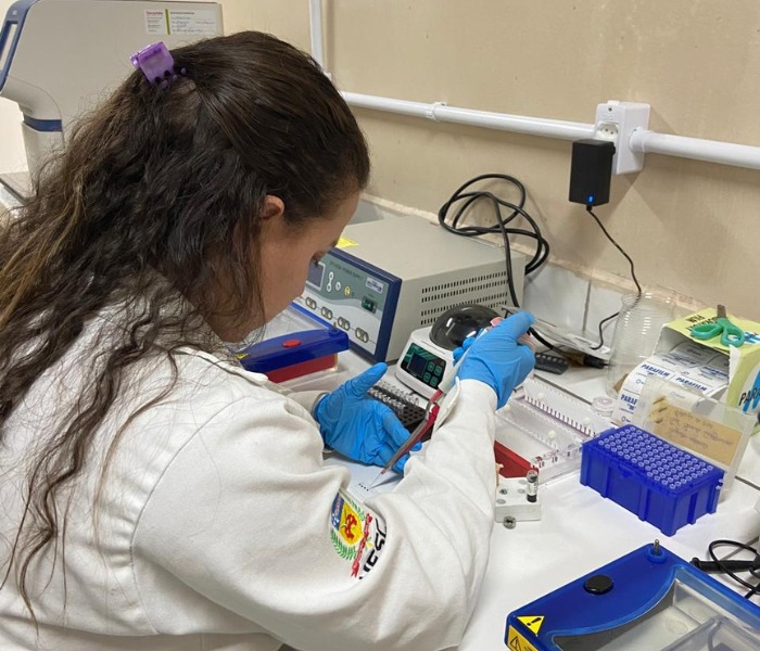 <p> Acompanhamento das propriedades positivadas no ano de 2020 para o vírus da Laringotraqueíte no estado de Santa Catarina: Análise anatomopatológica, molecular e imuno-histoquímica</p>
