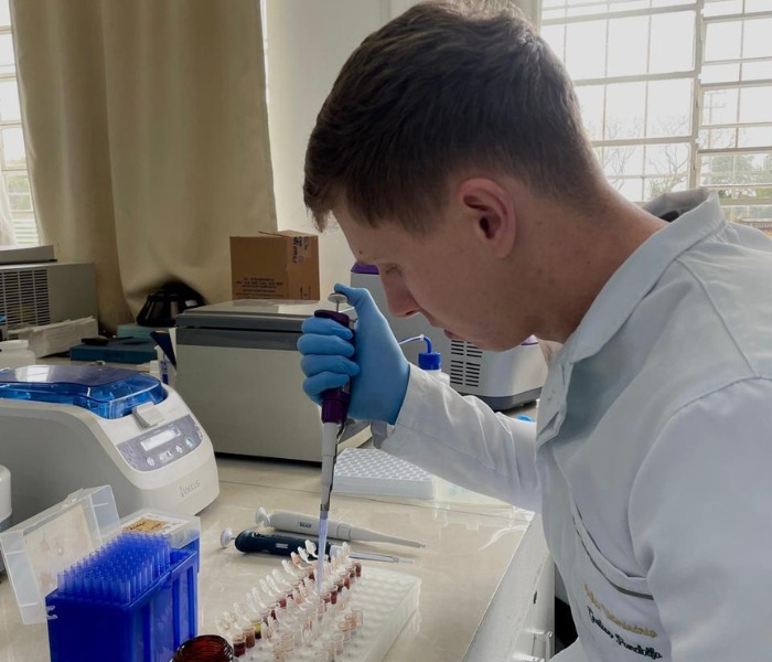 <p>Identificação dos subgrupos A, B e C do vírus da leucemia felina (FeLV) em  diferentes condições de causas mortes em gatos no estado de Santa Catarina</p>
