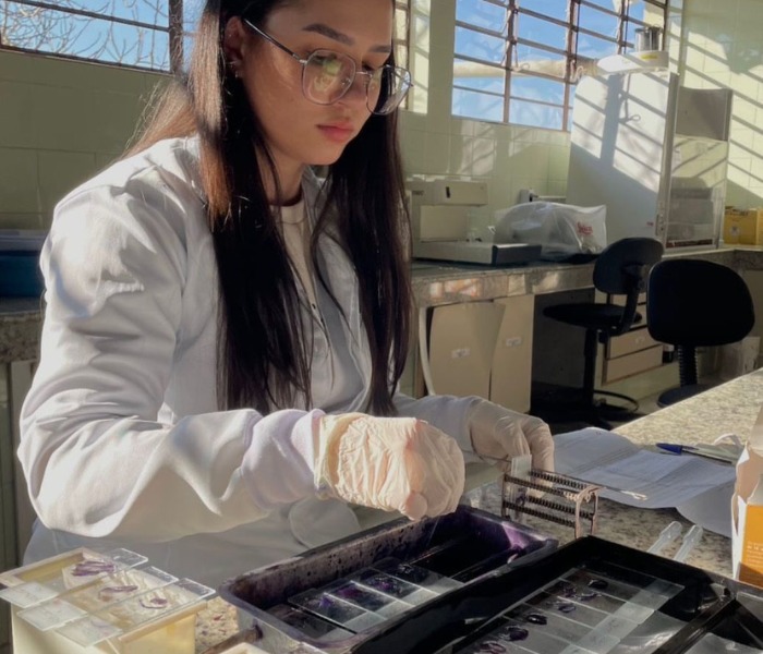 <p>Intoxicação por monensina em ovinos: caracterização clínica e anatomopatológica</p>
