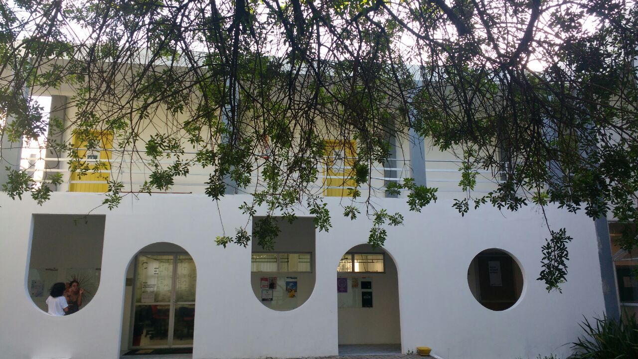 <p>Foto: Linda Pereira</p>
