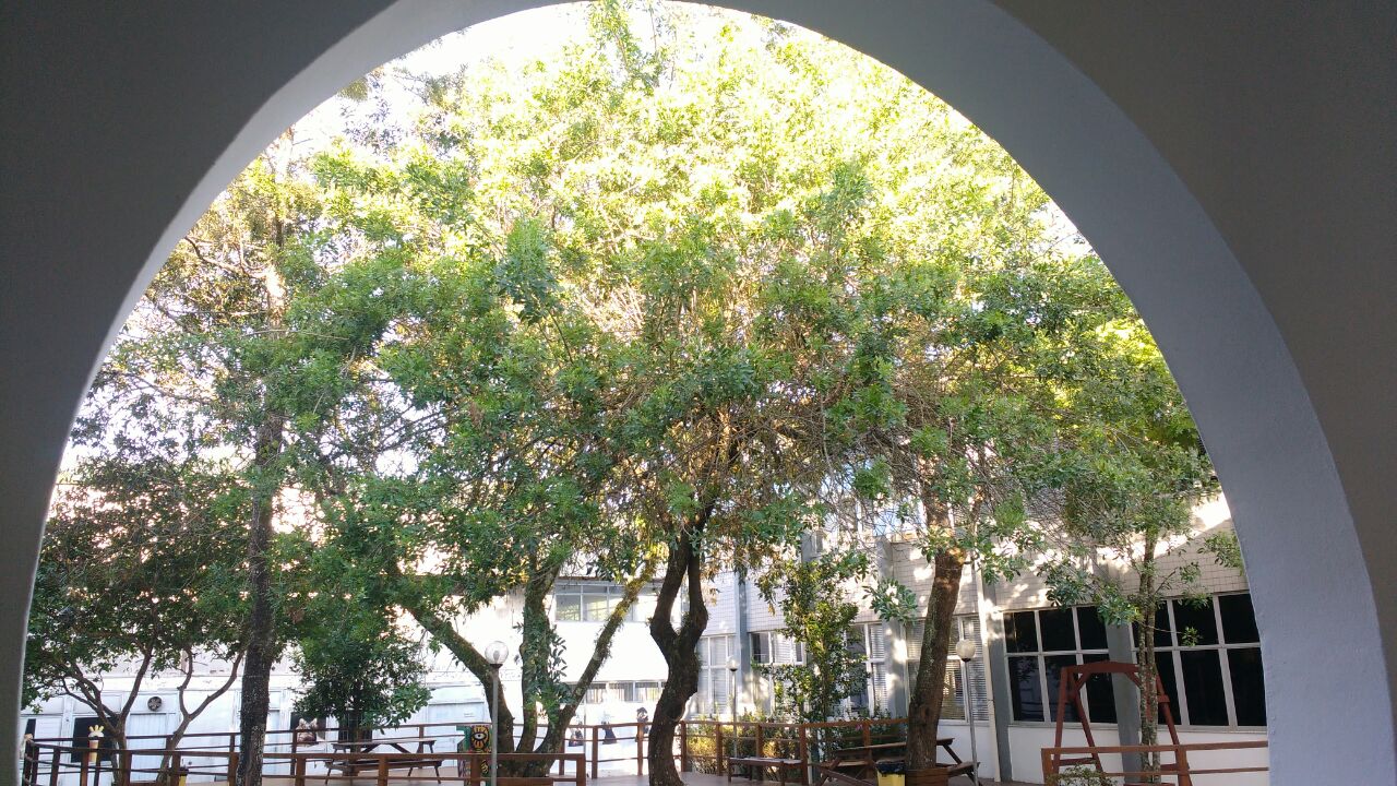 <p>Foto: Linda Pereira</p>
