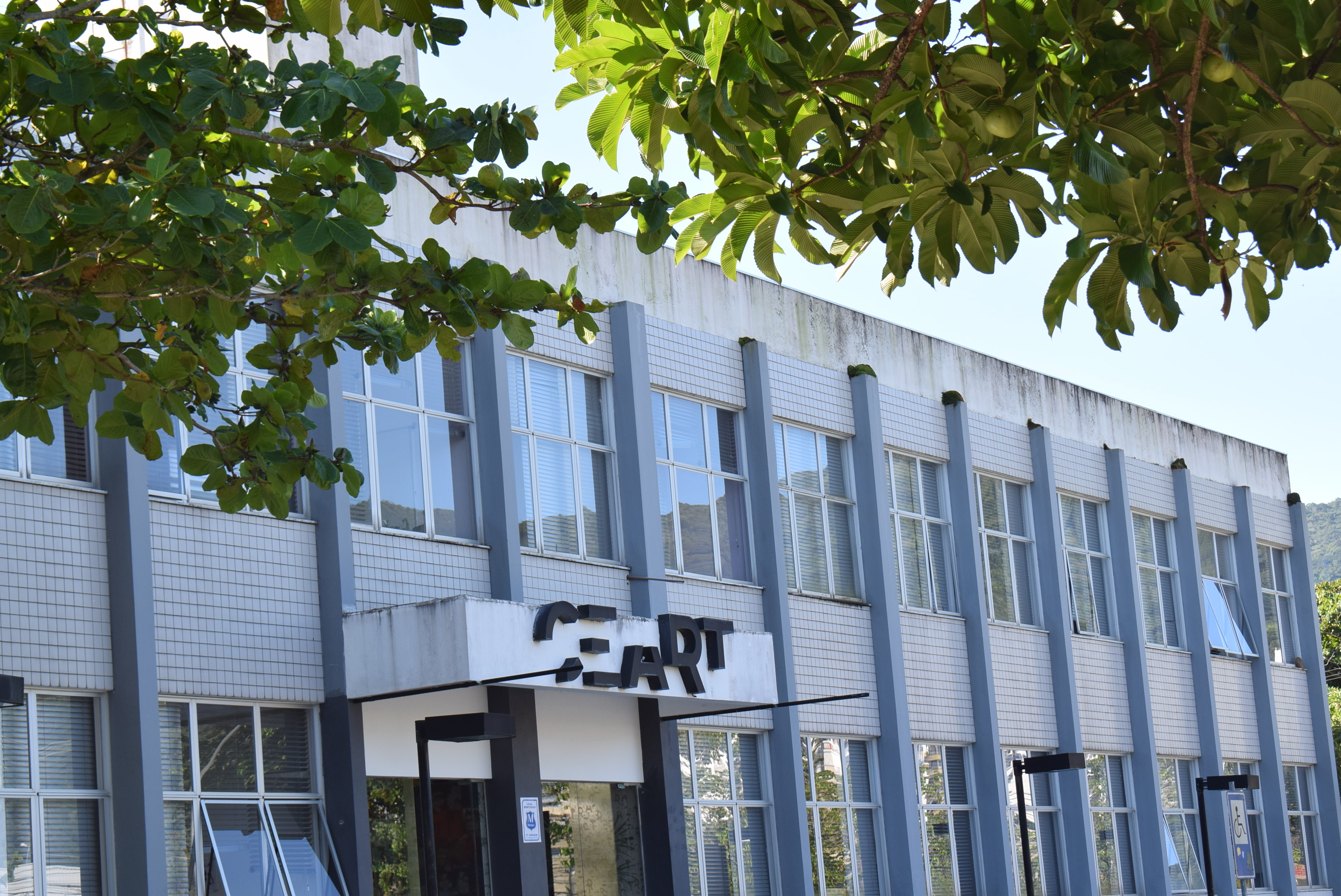 <p>Foto: Linda Pereira</p>
