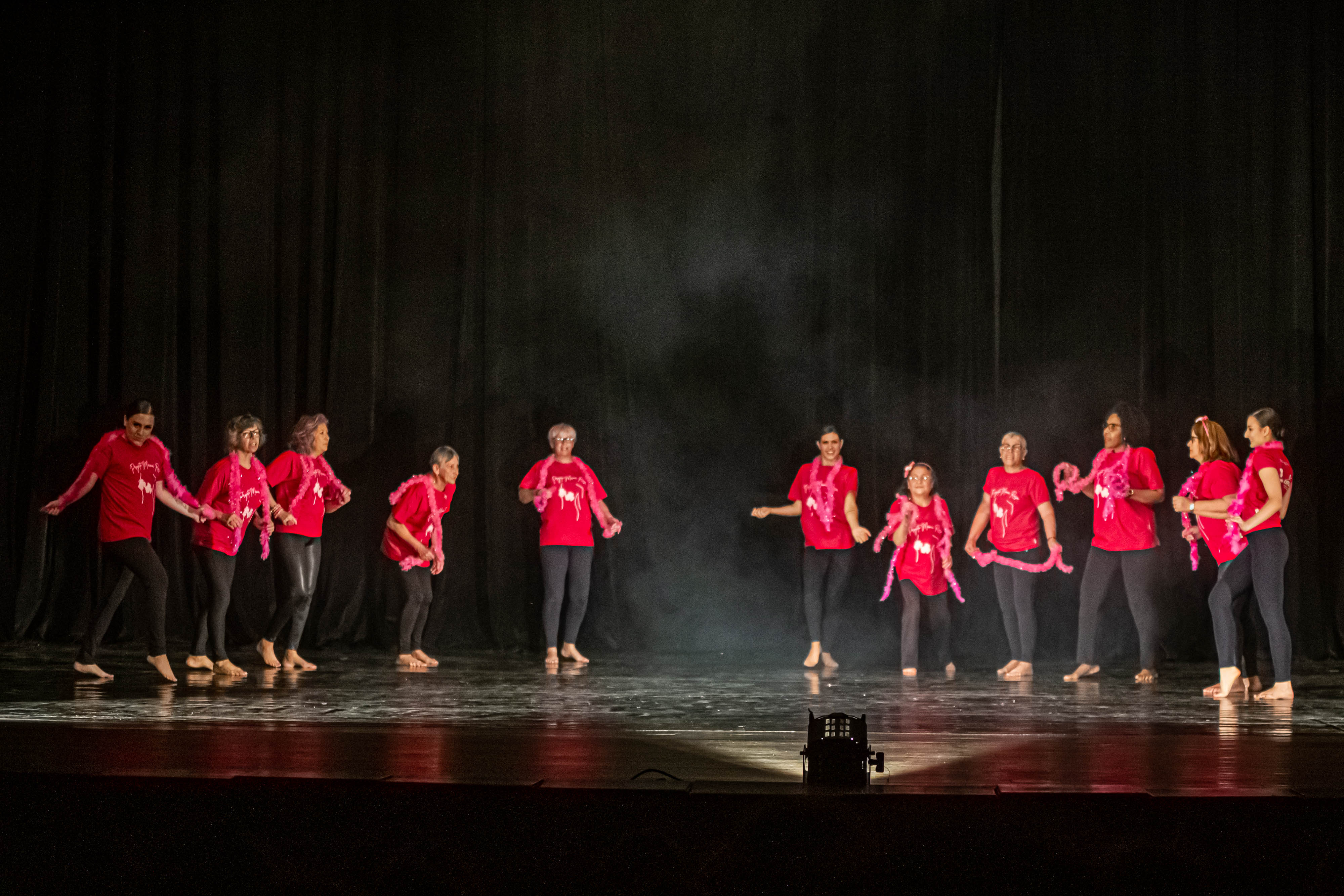 <p><strong>17ª Mostra de Dança UDESC/CEFID, Teatro Governador Pedro Ivo, Florianópolis-SC. Projeto Dança Rosa, para mulheres em tratamento e pós tratamento do câncer de mama. Coreografia: 
