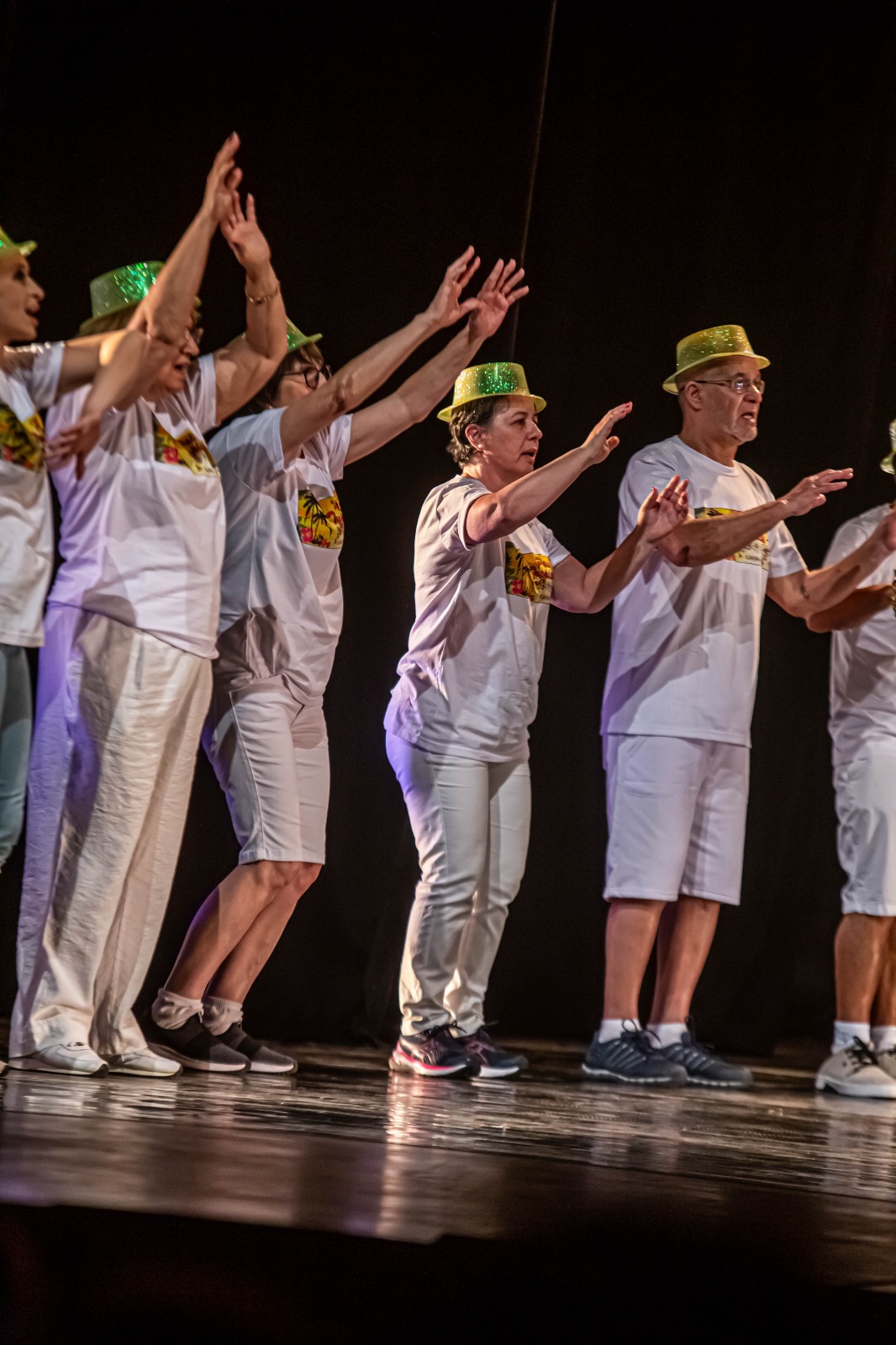 <p><strong>18ª Mostra de Dança da UDESC/CEFID, Teatro Governador Pedro Ivo, Florianópolis-SC. Coreografia: 