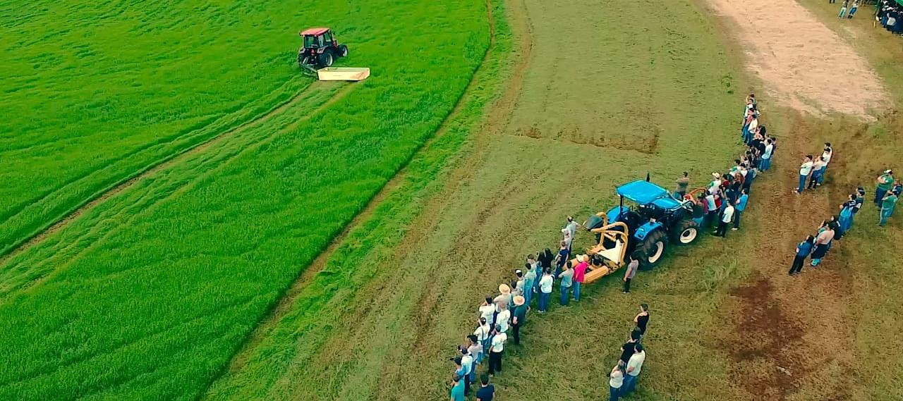 <p>Área denominada as práticas do dia de campo – feno e pré secado</p>
