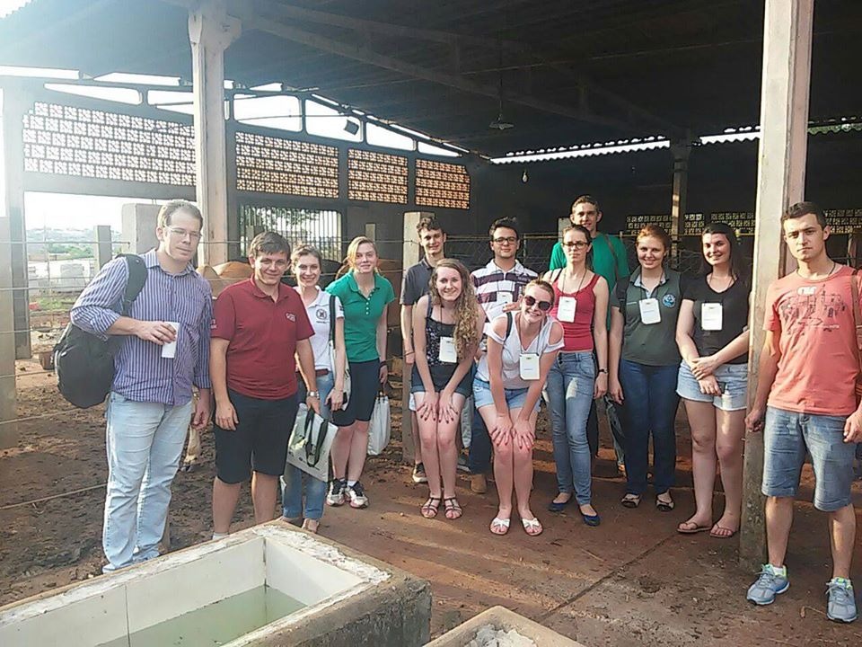 <p>Fazenda Escola da UEL - PR, 2015</p>
