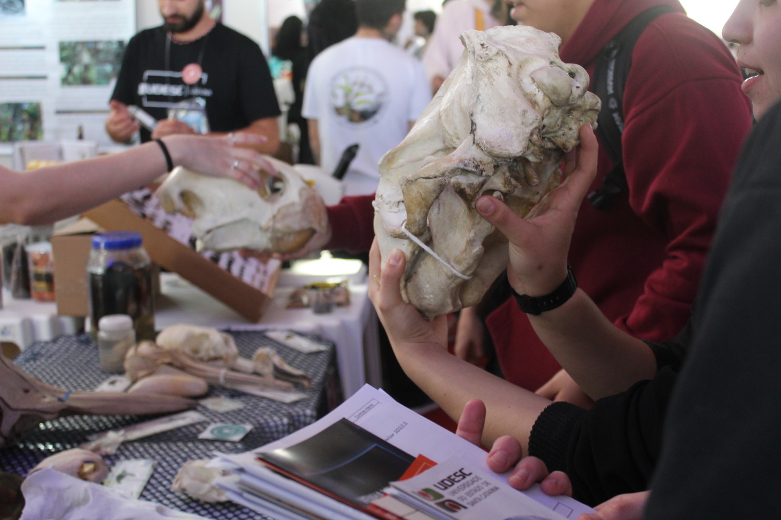 <p>Educação Ambiental</p>
