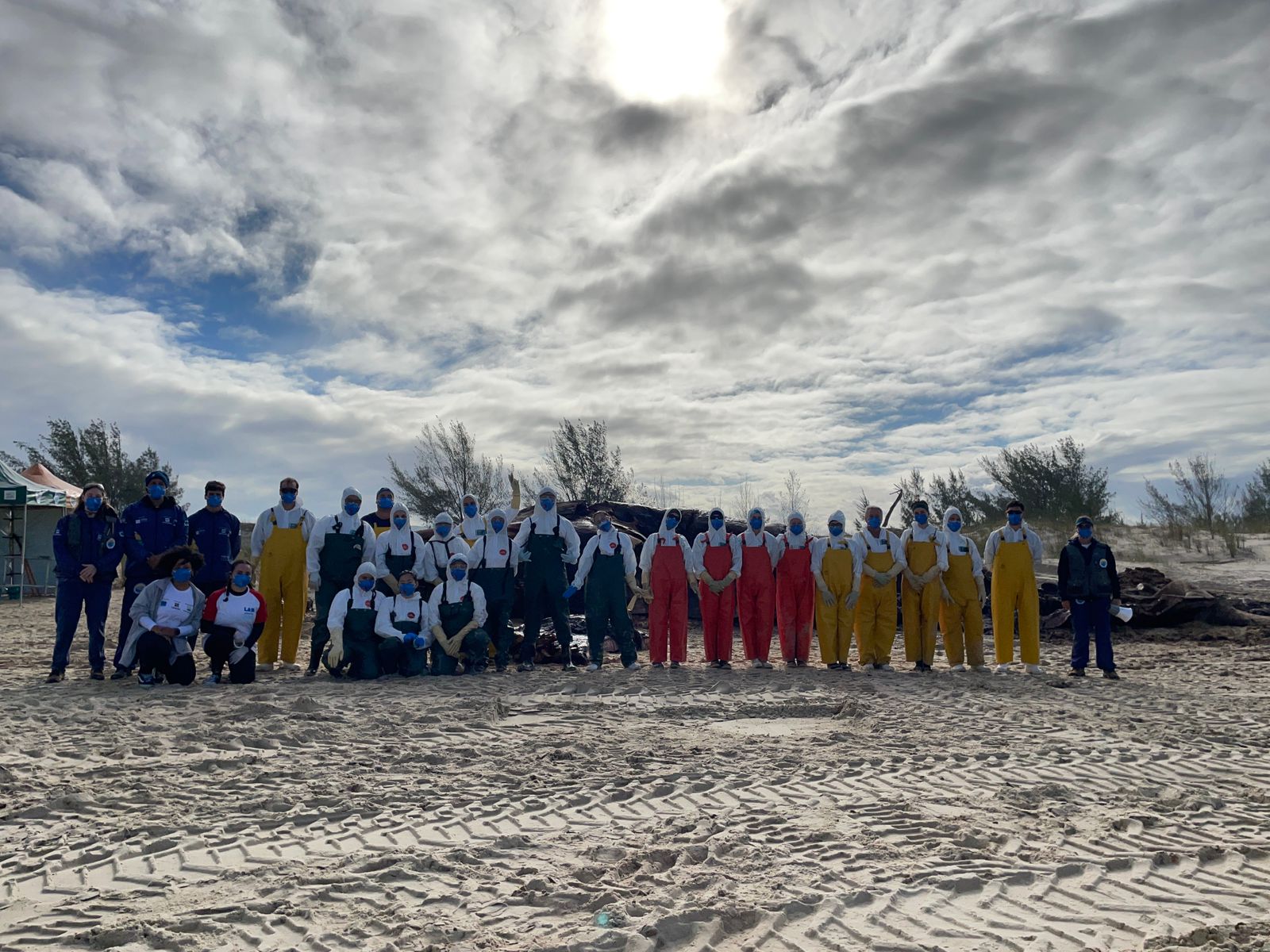 <p>Necropsia de Campo</p>
