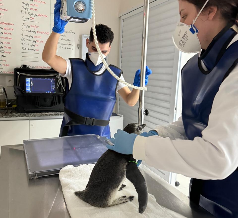 <p>Unidade de Estabilização</p>
