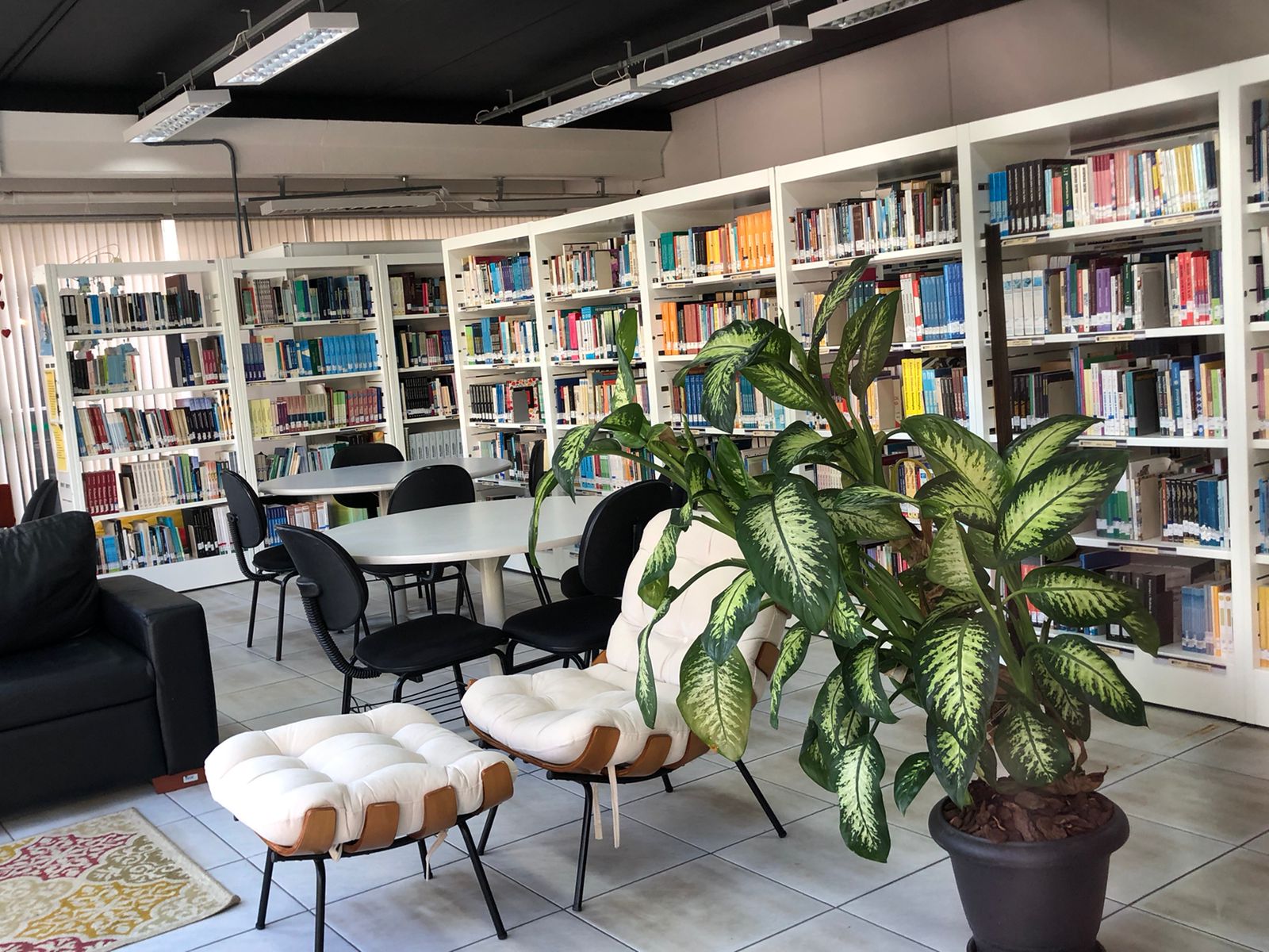 <p><strong>Biblioteca Udesc Chapecó - Enfermagem</strong></p>
